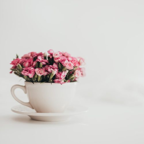 Kaffe till blommor: En perfekt kombination för trädgården