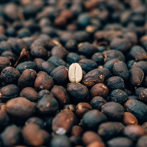 Kaffebönors unika egenskaper: Vad gör dem så speciella?