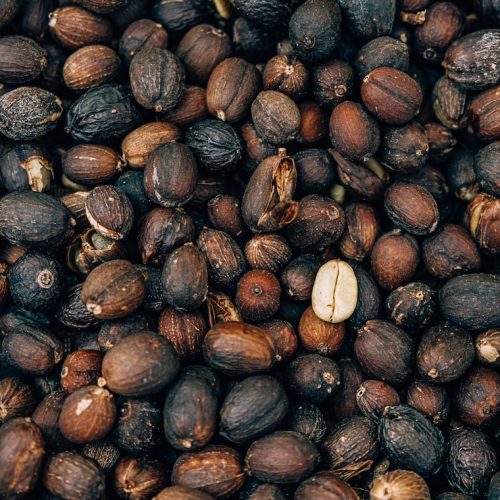 Torkningens betydelse för kaffebönor: En djupdykning i processen och dess betydelse.