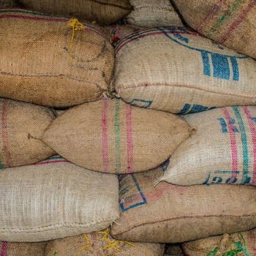 De mest kända kaffebönorna från Etiopien: En smakresa genom kaffeets hemland